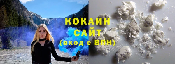 хмурый Алзамай