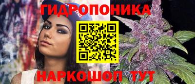 сатива Славянск-на-Кубани