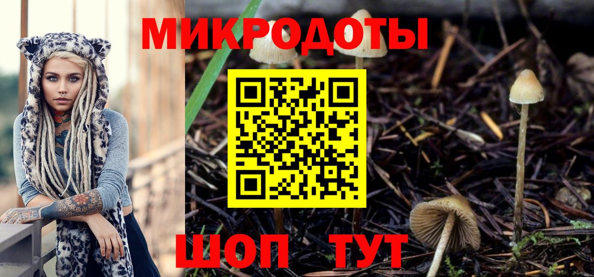 Галлюциногенные грибы прущие грибы Углич